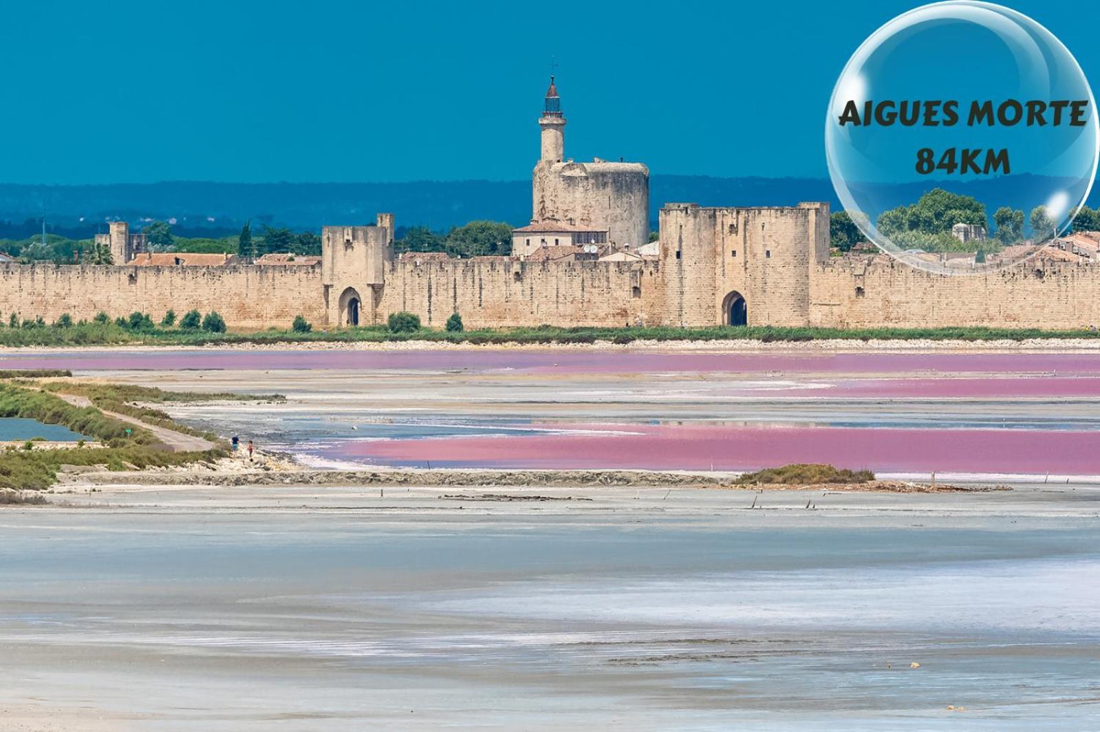 Ferienwohnung Le Cosy Du Gal, A 2 Pas Du Palais Des Papes Parking Gratuit Securise Avignon Exterior foto