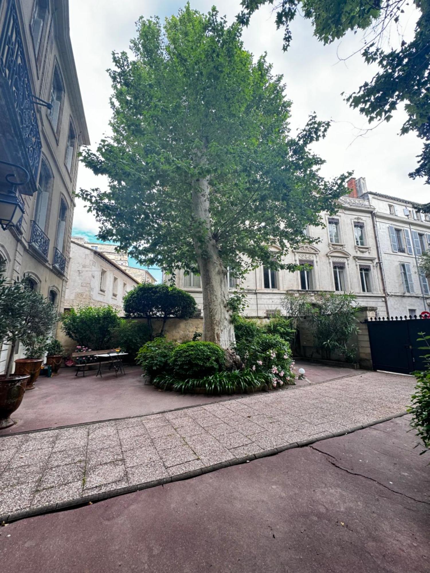 Ferienwohnung Le Cosy Du Gal, A 2 Pas Du Palais Des Papes Parking Gratuit Securise Avignon Exterior foto